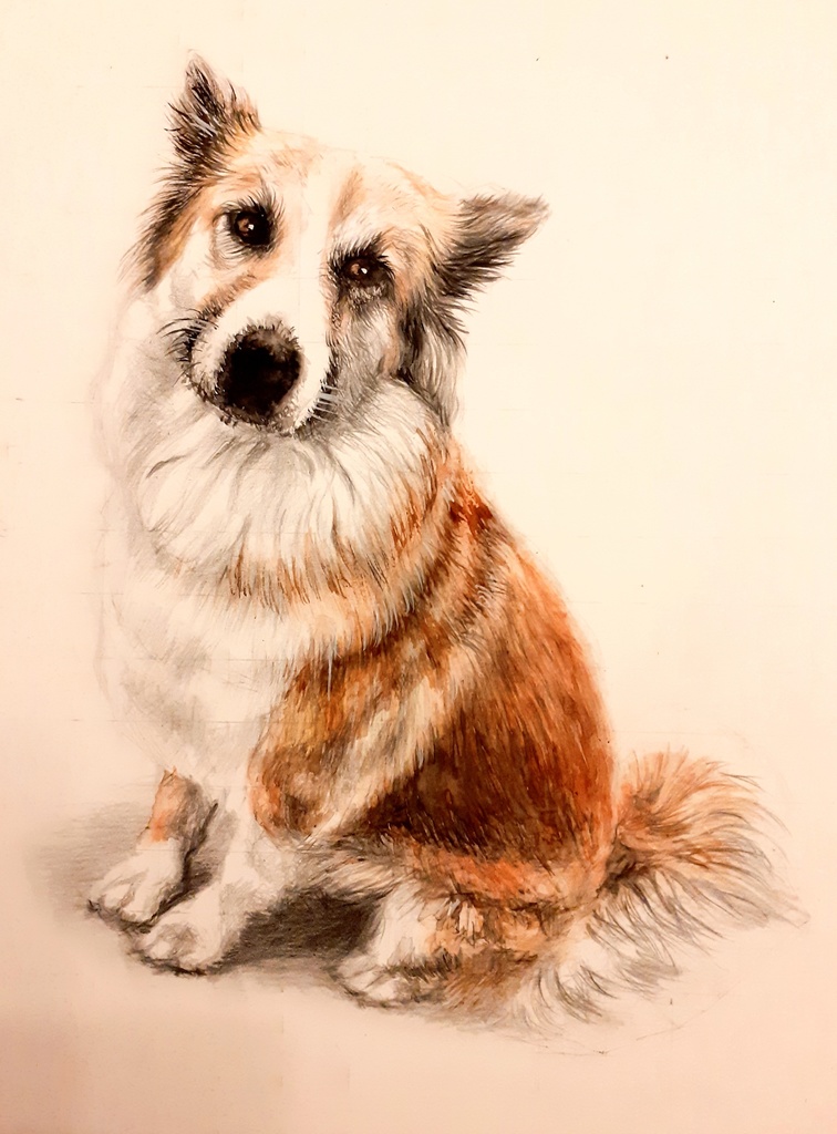 色鉛筆による細密画