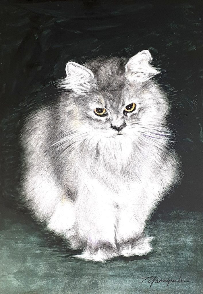 色鉛筆による細密画