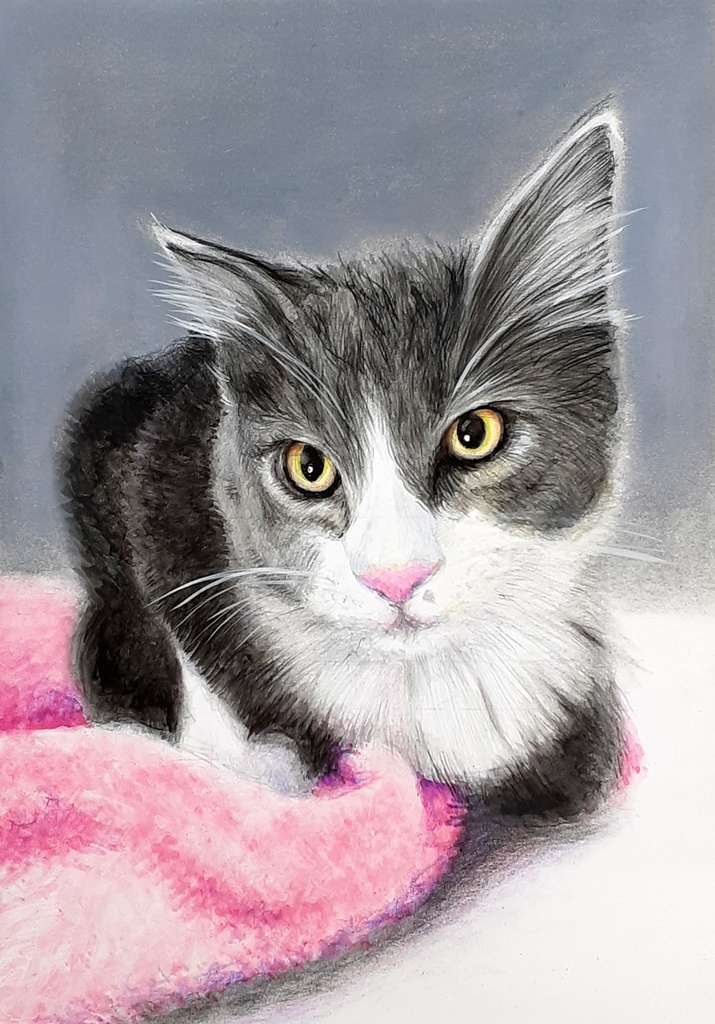 色鉛筆による細密画