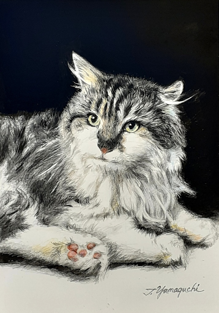 色鉛筆による細密画