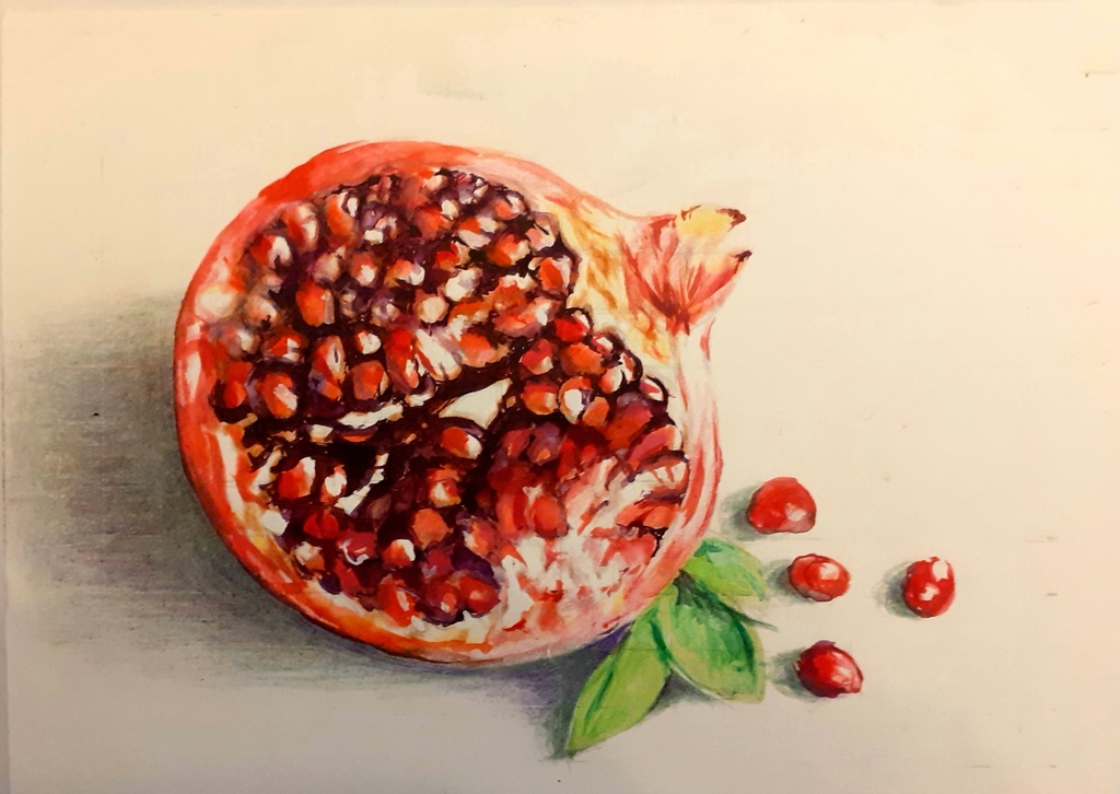 色鉛筆による細密画