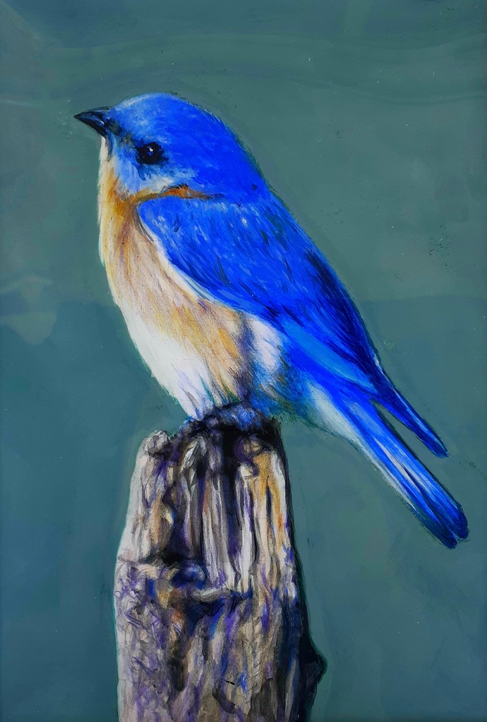 色鉛筆による細密画