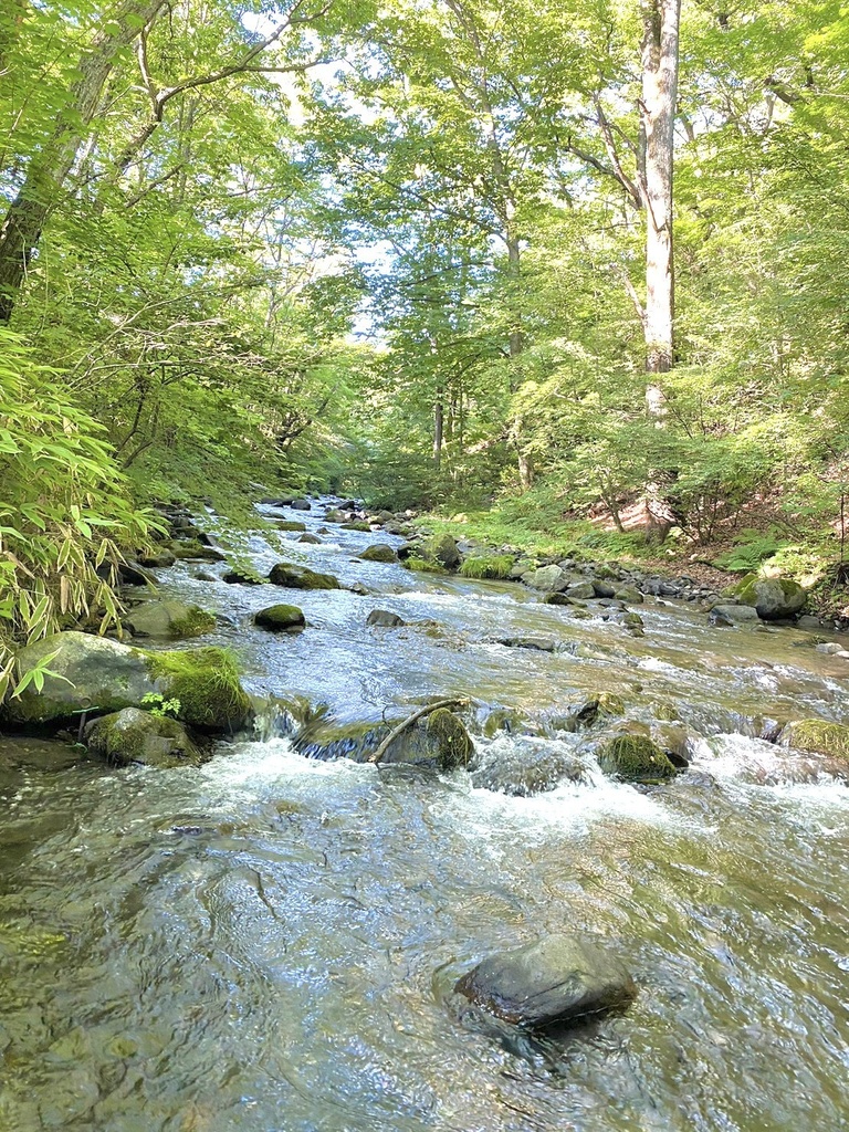 夏の葉と波紋、木漏れ日たゆたう清流のネックレス