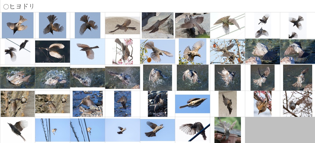 翼のポーズコレクション