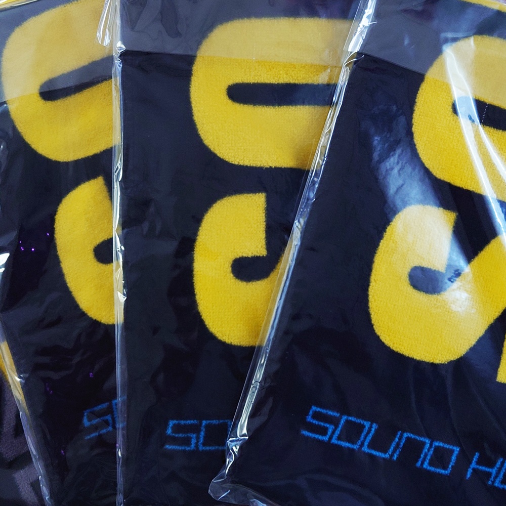 SOUND HOLIC マフラータオル [送料無料/グッズ]