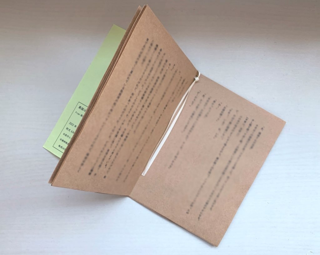 黒猫は今宵壱等星の夢を見る