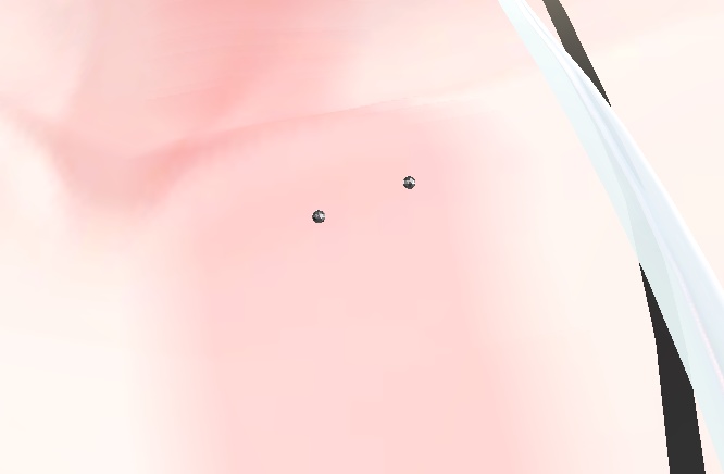 Free 鎖骨ピアス[selestia]