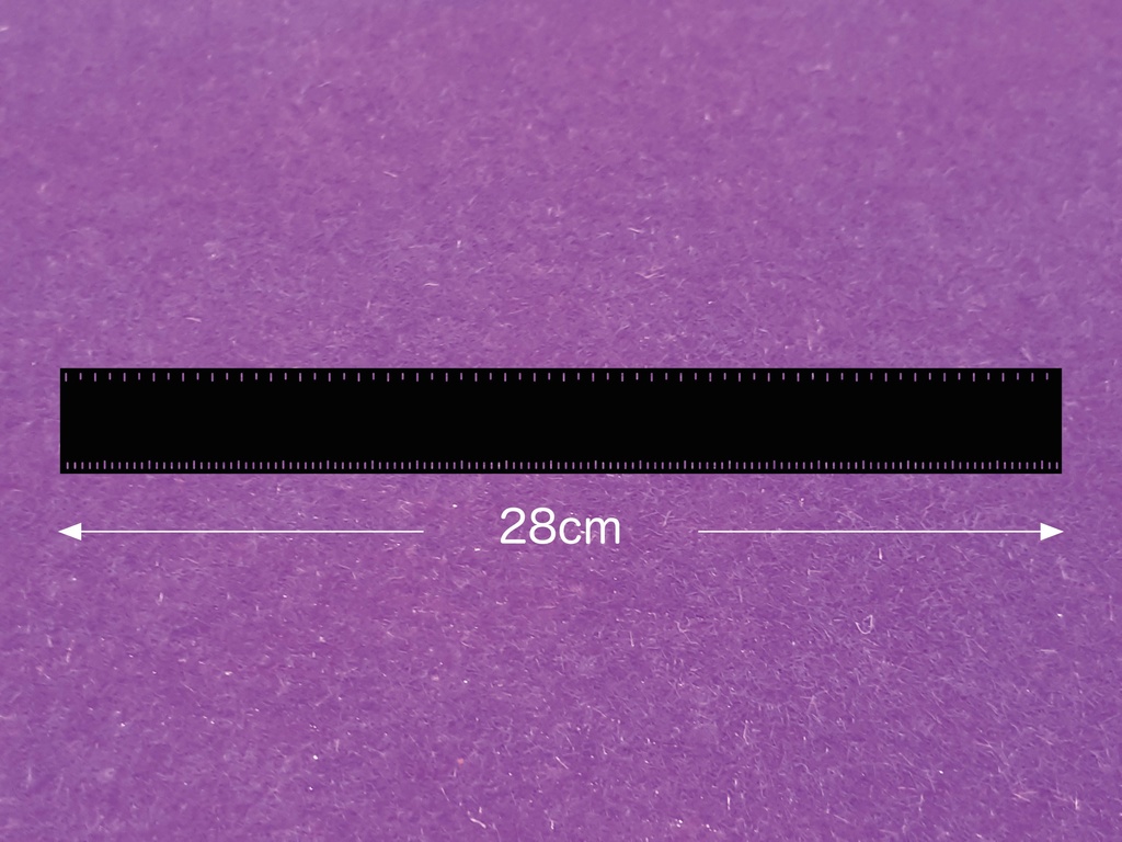 スケール定規 (長さ 28cm)