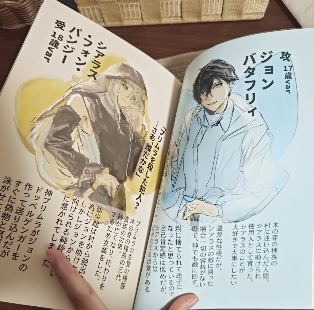 バタフリィエフェクト イラスト・設定本(コミティア156後再販予定)