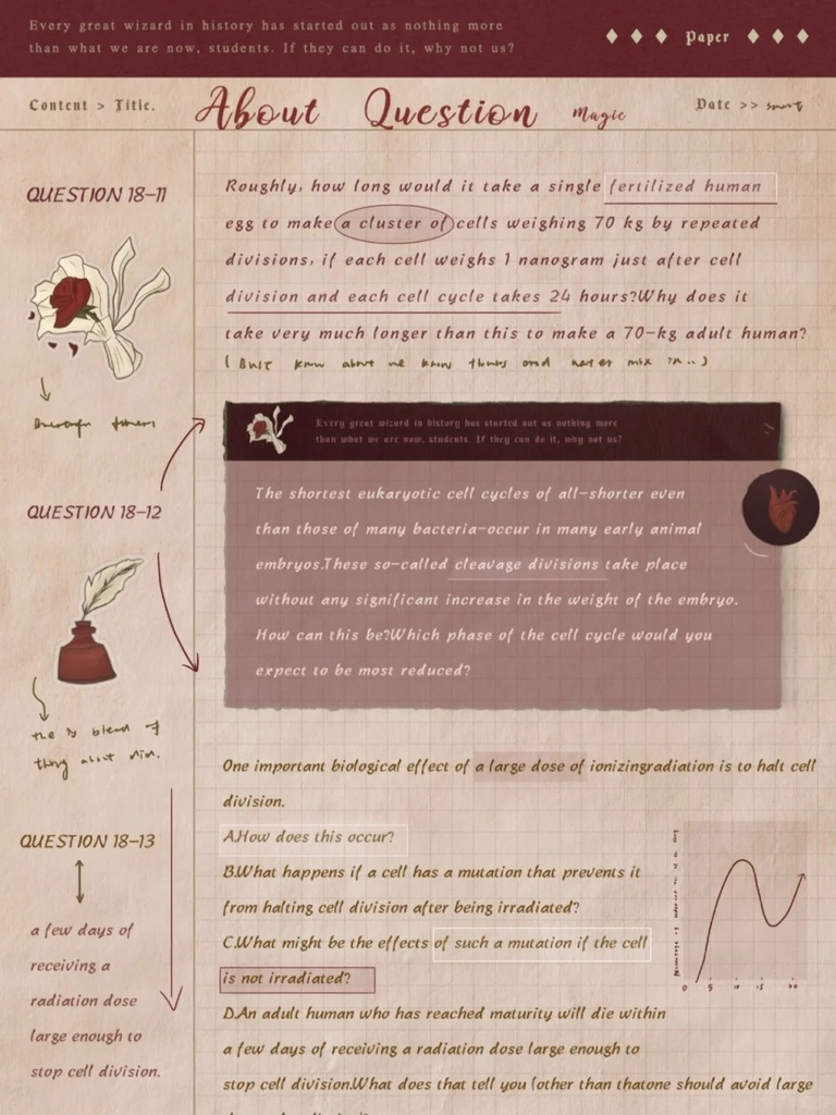 ザ・マジック ノートブックテンプレート