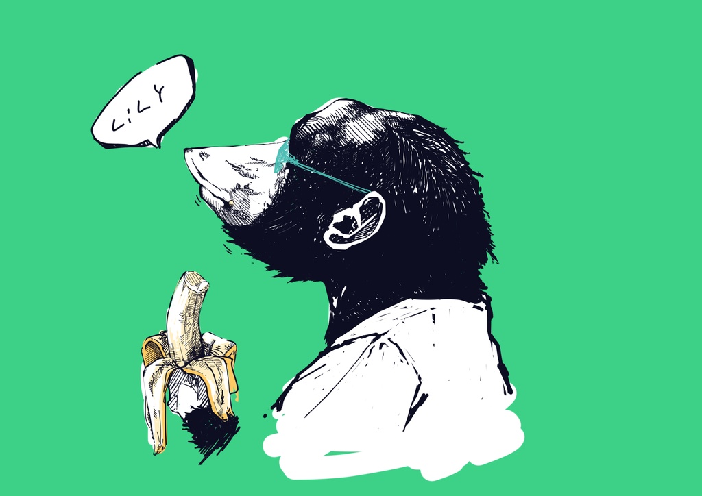 おさるさんtシャツ(LiLY)