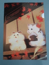 A4クリアファイル