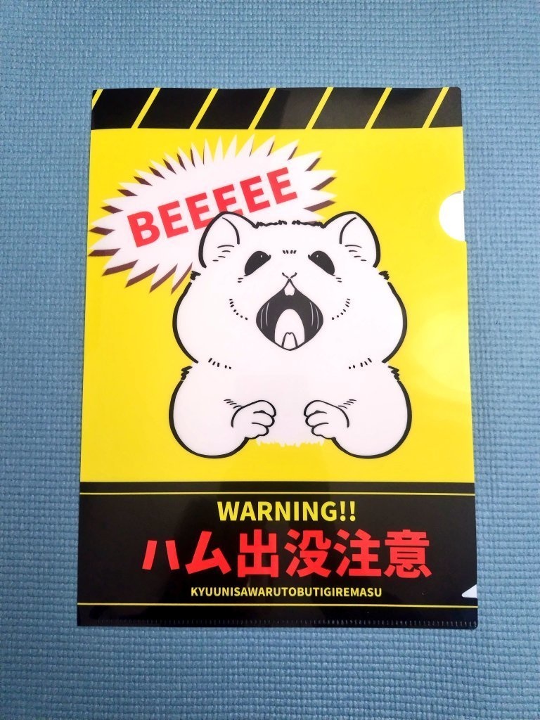 A4クリアファイル