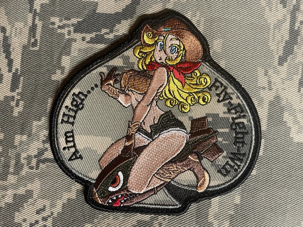 USAF Military Patch