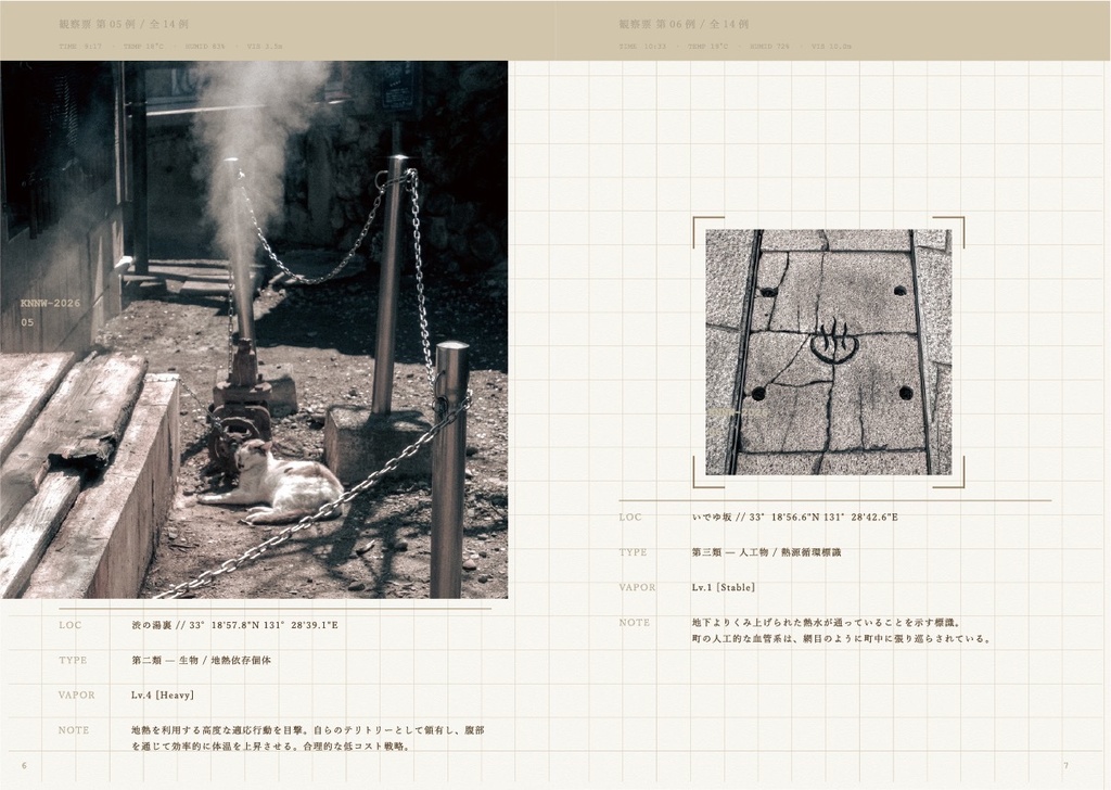 The Steam Zone: Field Report on Feline and Human Adaptations in Kannawa, Japan(KANNAWA蒸気帯観察記録)