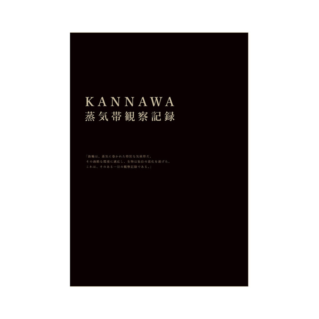 The Steam Zone: Field Report on Feline and Human Adaptations in Kannawa, Japan（KANNAWA蒸気帯観察記録）