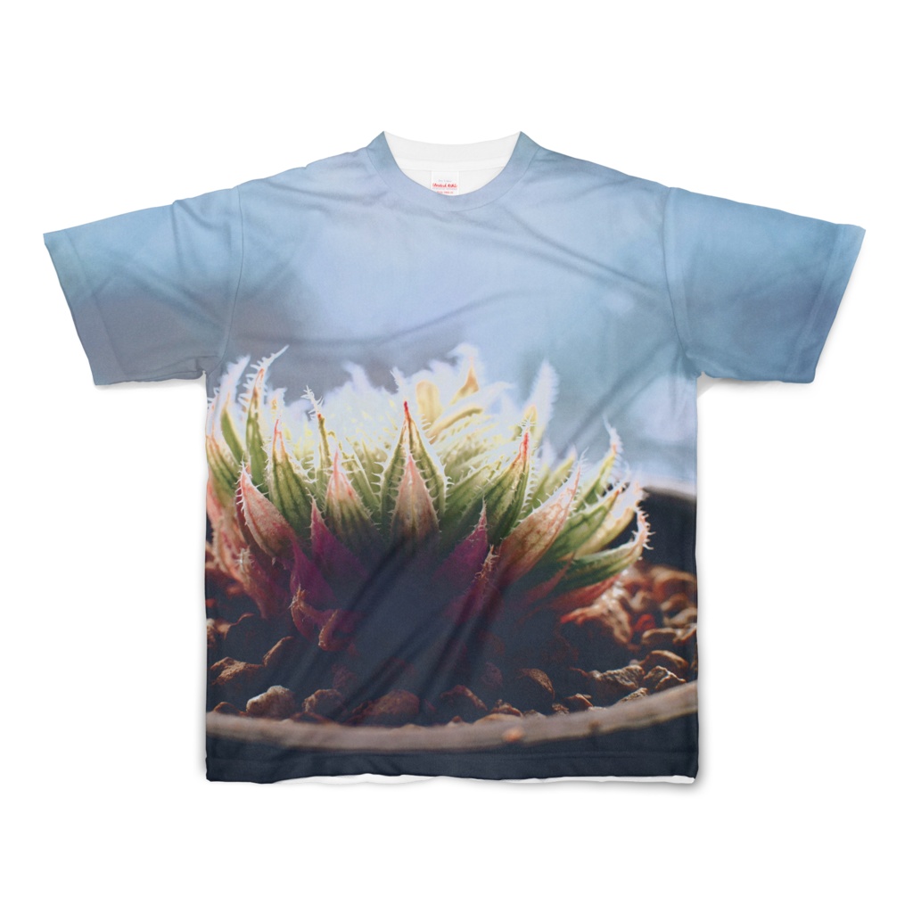 植物Tシャツ ハオルチア