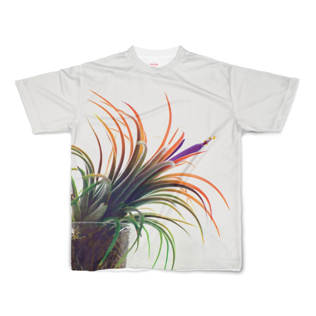 植物Tシャツ イオナンタ