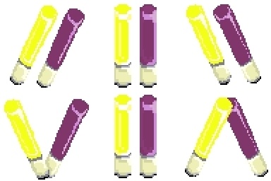 ピクリエ用アバター『応援用うちわ』『ペンライト』(降志用)