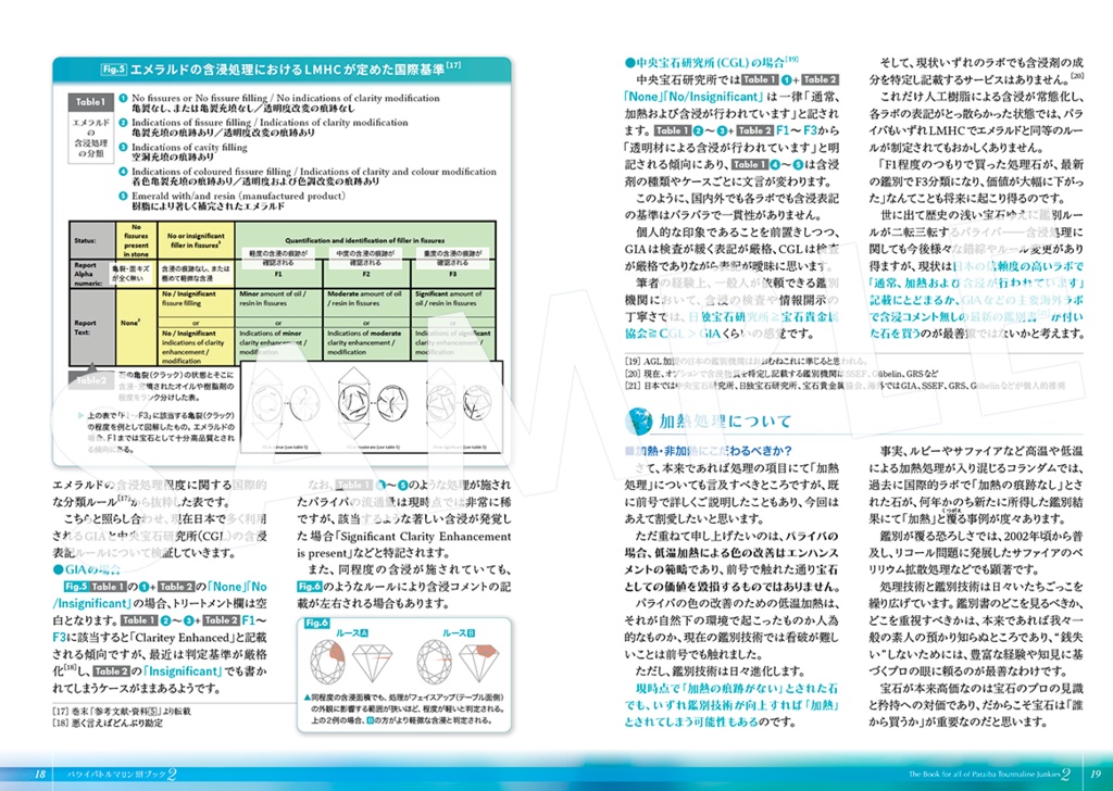 パライバトルマリン沼Book②-ネオン・処理編-〔改訂版〕