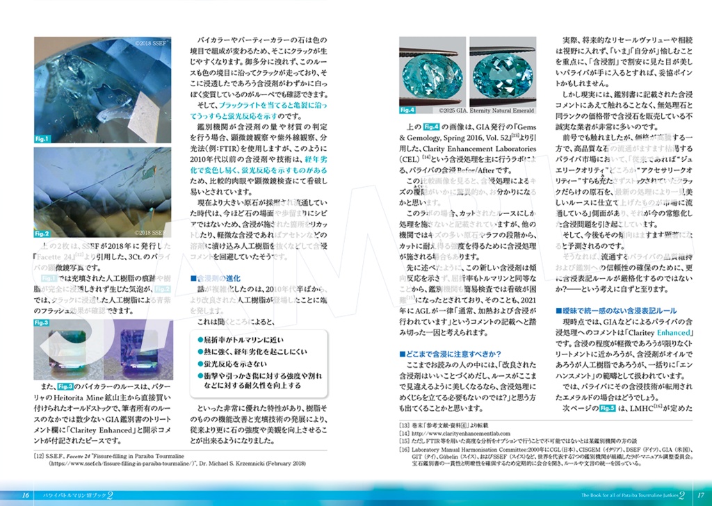 パライバトルマリン沼Book②-ネオン・処理編-〔改訂版〕