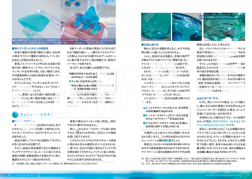パライバトルマリン沼Book②-ネオン・処理編-〔改訂版〕
