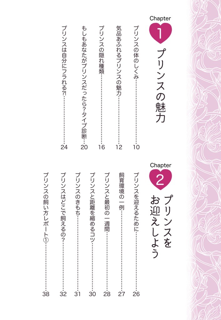 【冊子版】かっこよくってめんどくさいプリンスの飼い方•育て方