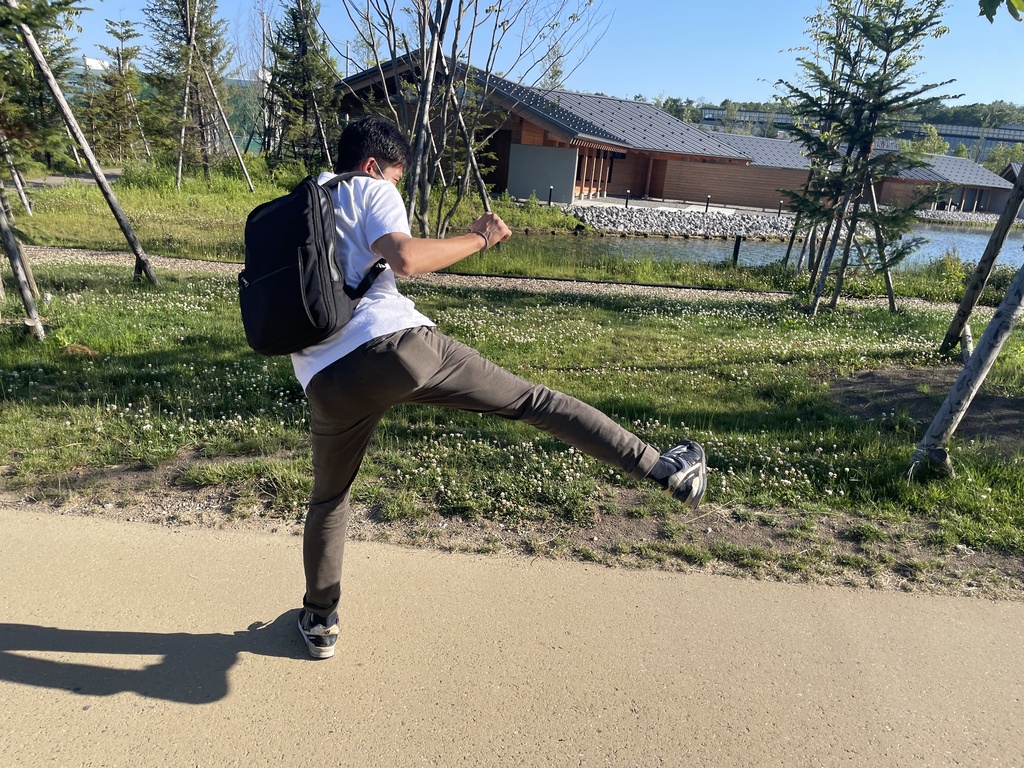 いえーい
