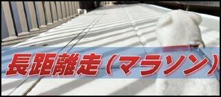 ミニチュア大運動会~シンプルミニチュアゲームシリーズ6コ入り