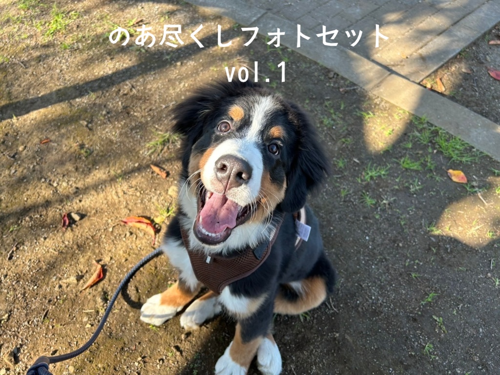 のあ尽くしフォトセット vol.1