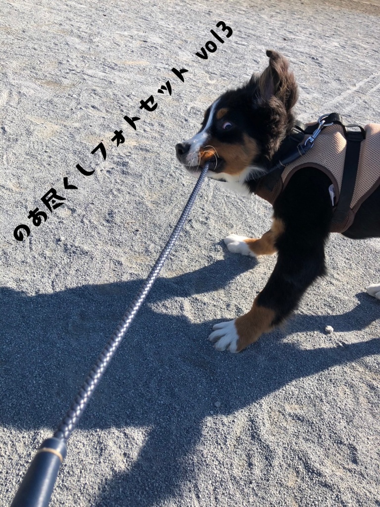 のあ尽くしフォトセットVol.3