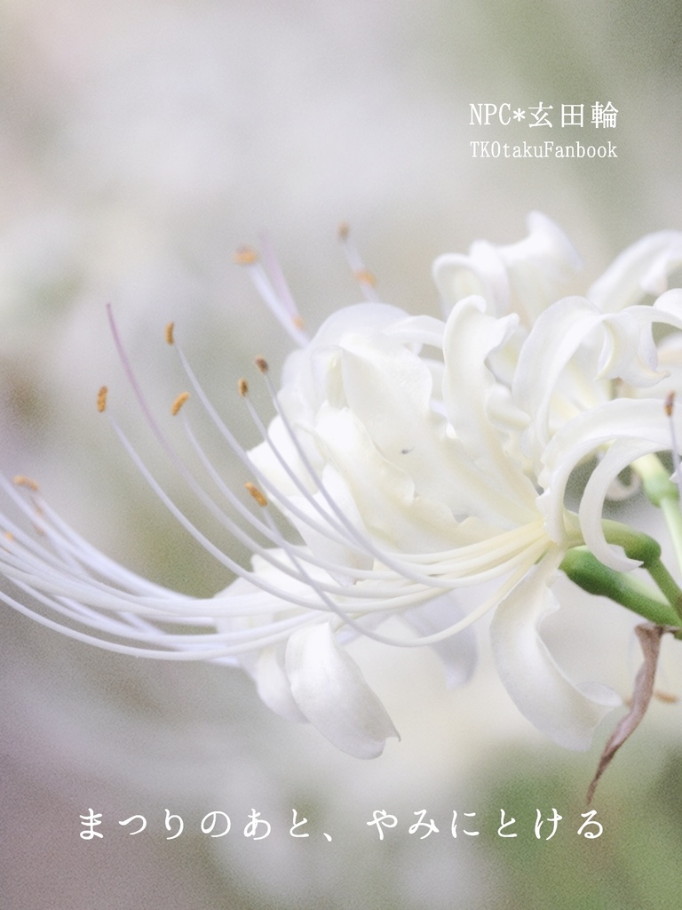 まつりのあと、やみにとける