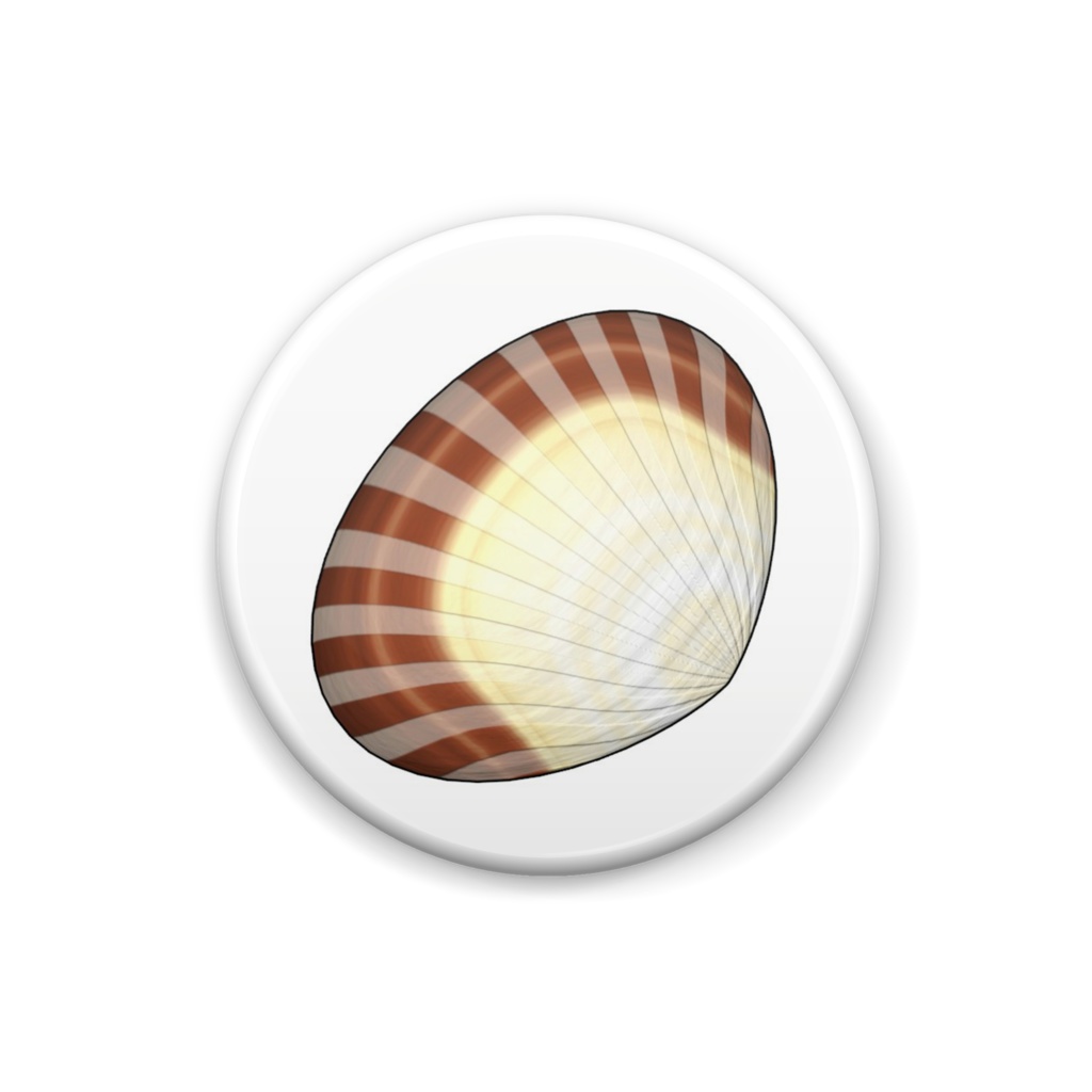 貝の缶バッジ / Sea Shell Can Badge