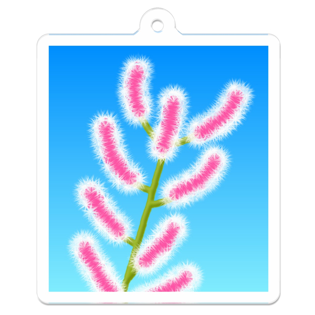 ネコヤナギのアクリルキーホルダー (裏コーティング有り) / Salix gracilistyla Acrylic Key Chain