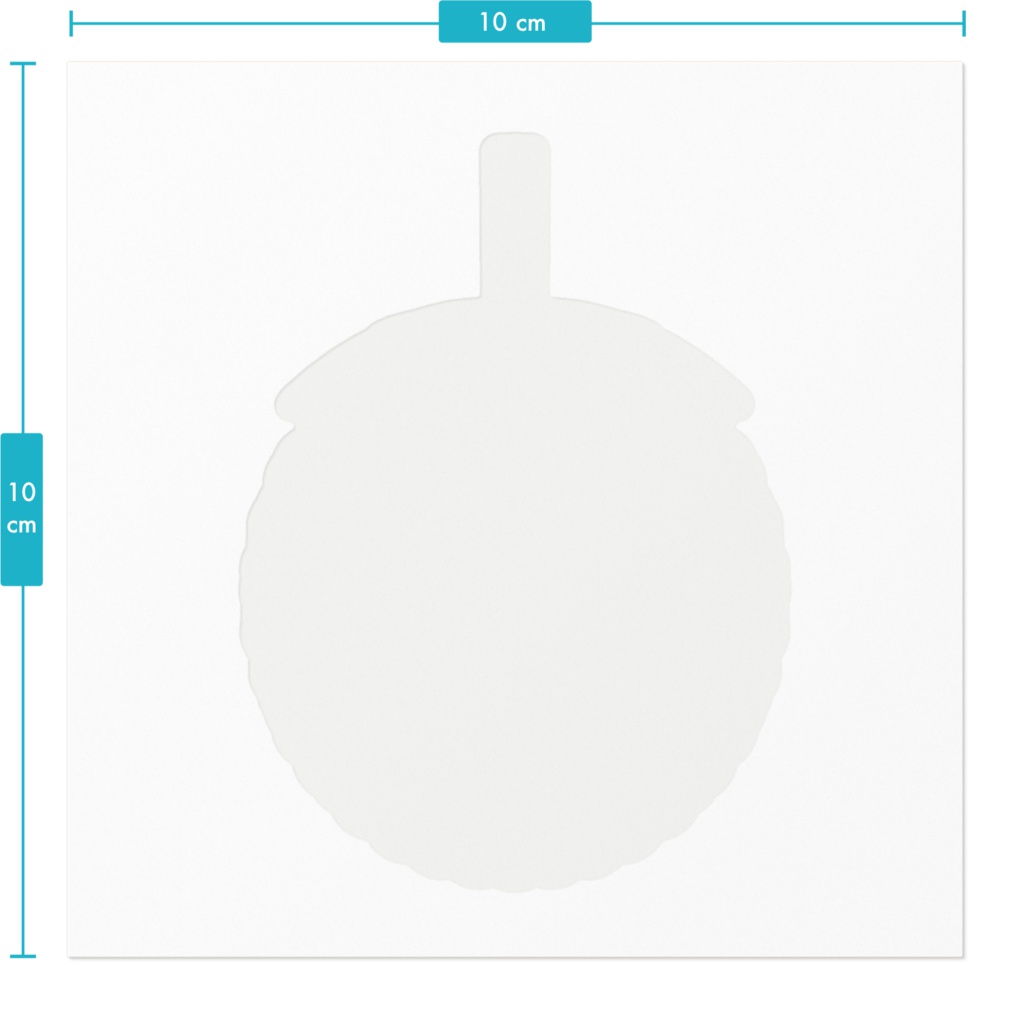 ラズベリーのステッカー / Raspberry Sticker