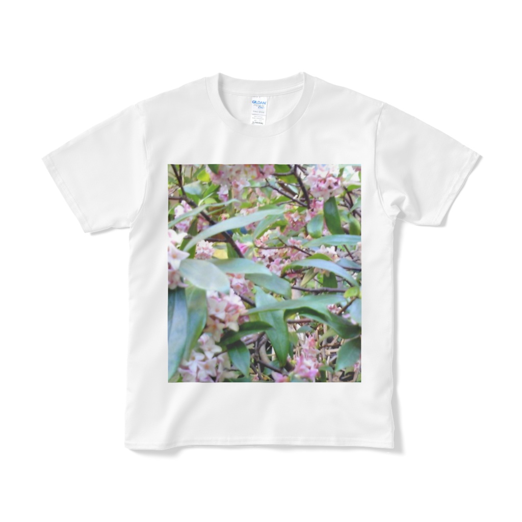 植物のTシャツ / Plant T-shirt