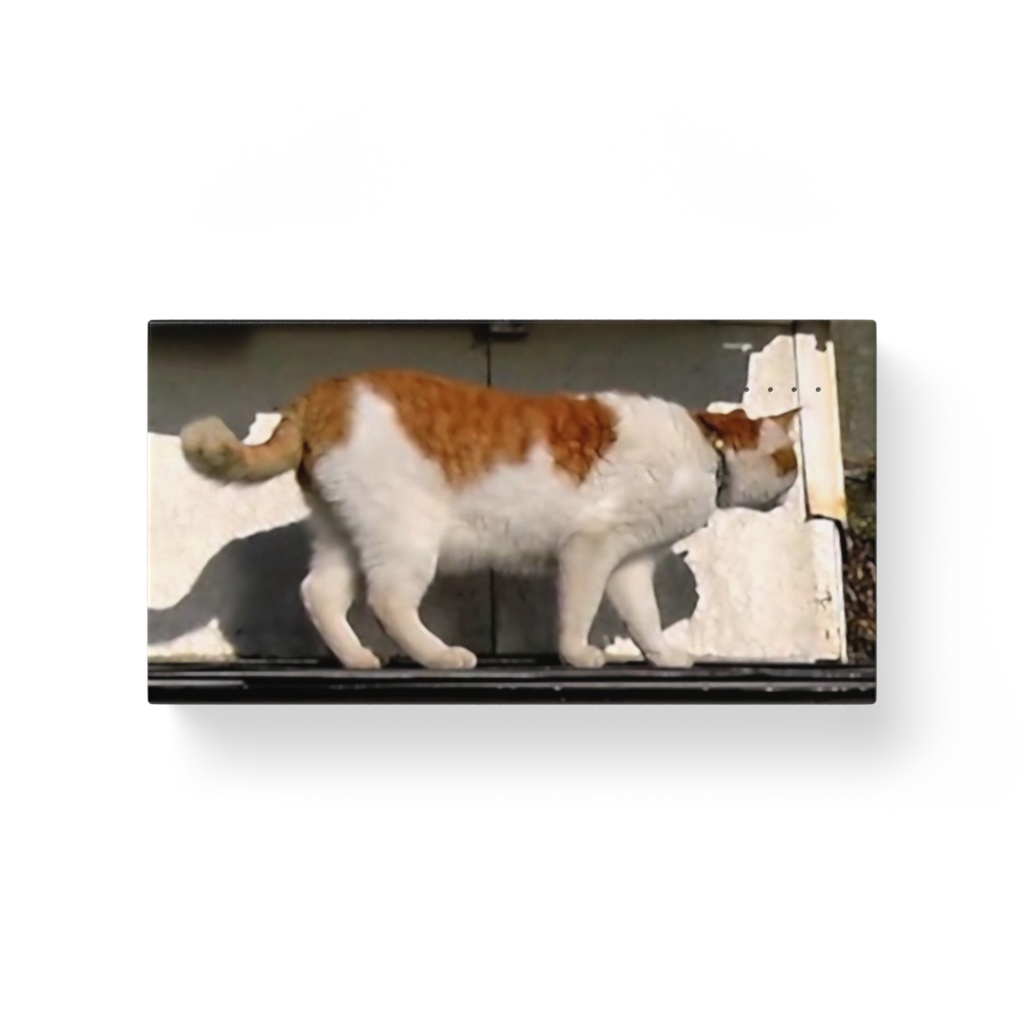 モバイルバッテリー 「猫」