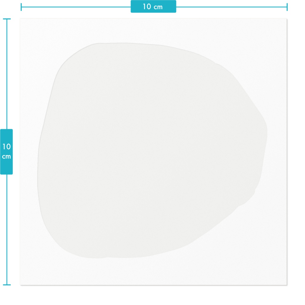 ココナッツのステッカー / Coconut Sticker