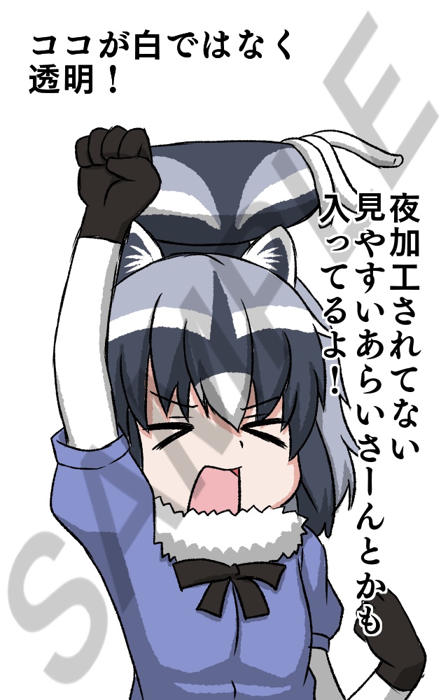 ver1.1( ̄3 ̄)の手描き1話フレンズ回イラスト集&素材集