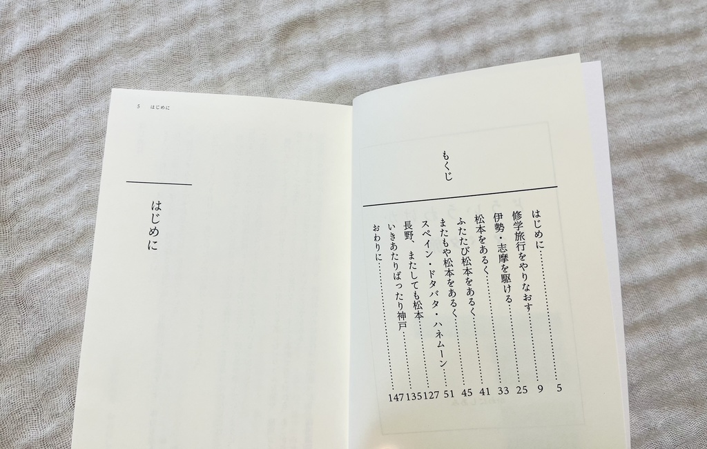 旅行エッセイZINE『どういうわけかドタバタ旅』