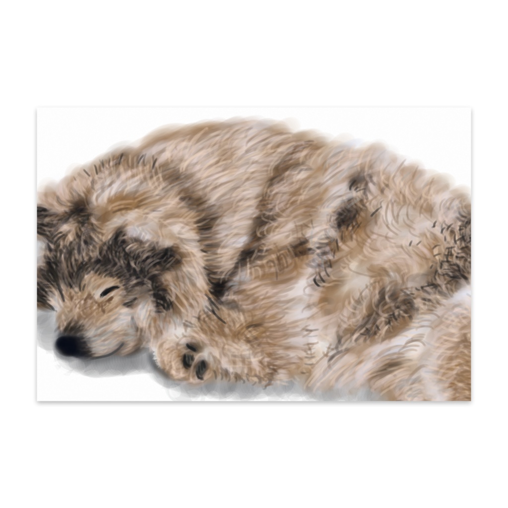 眠る犬ポストカード