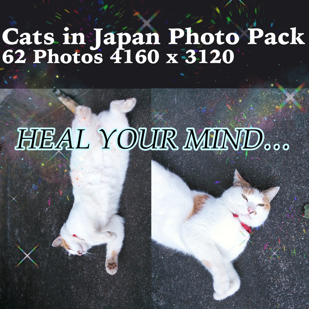 猫画像素材【癒やし用】