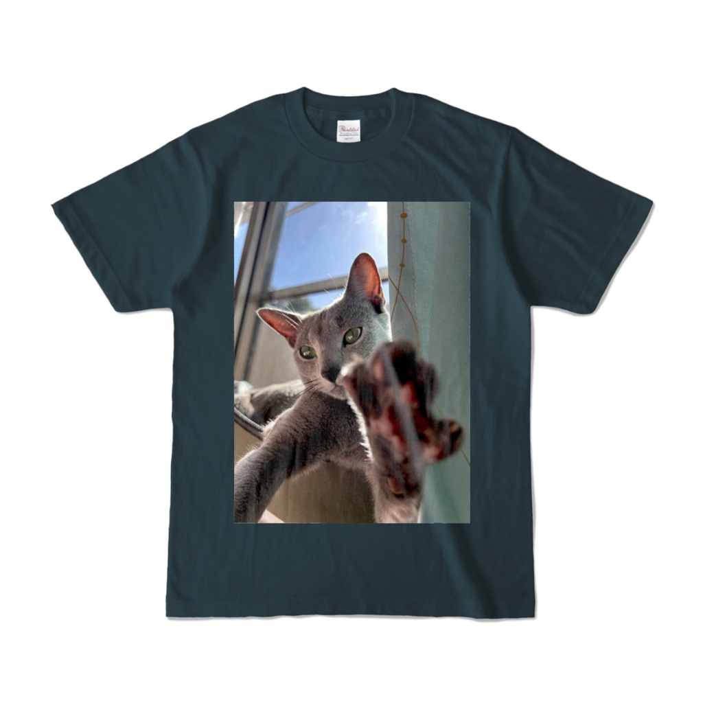 しずんちゃんびんちゃんTシャツ