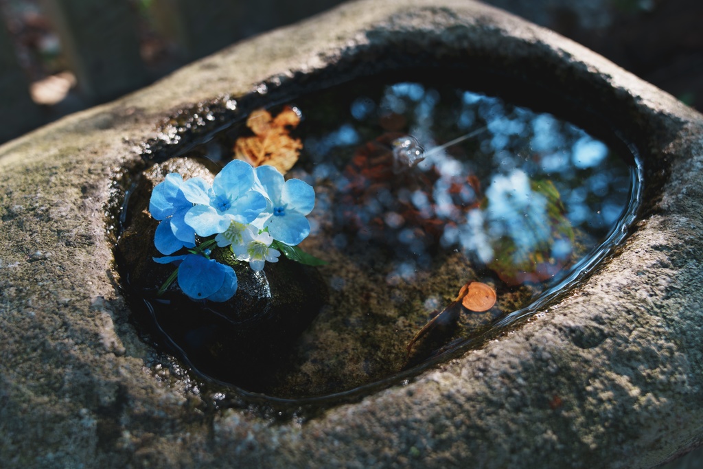 神社の写真１０枚