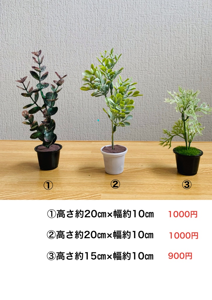 観葉植物