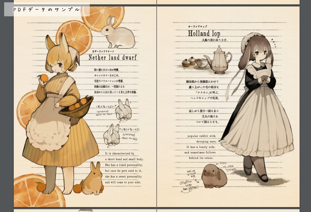 イラスト本〖 擬人化うさぎ図鑑 〗