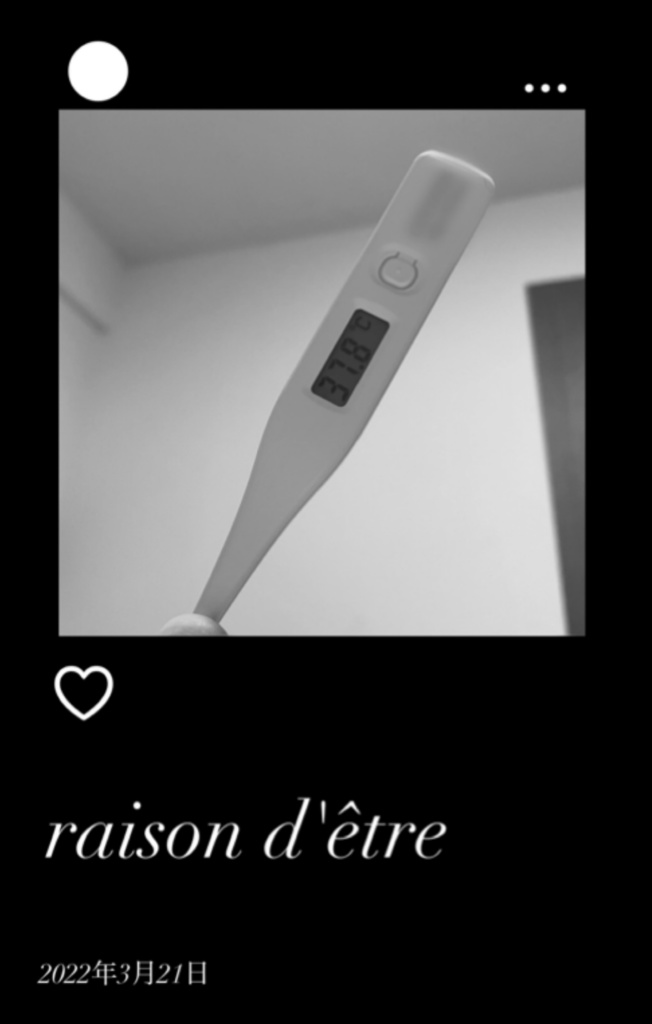 raison d'être