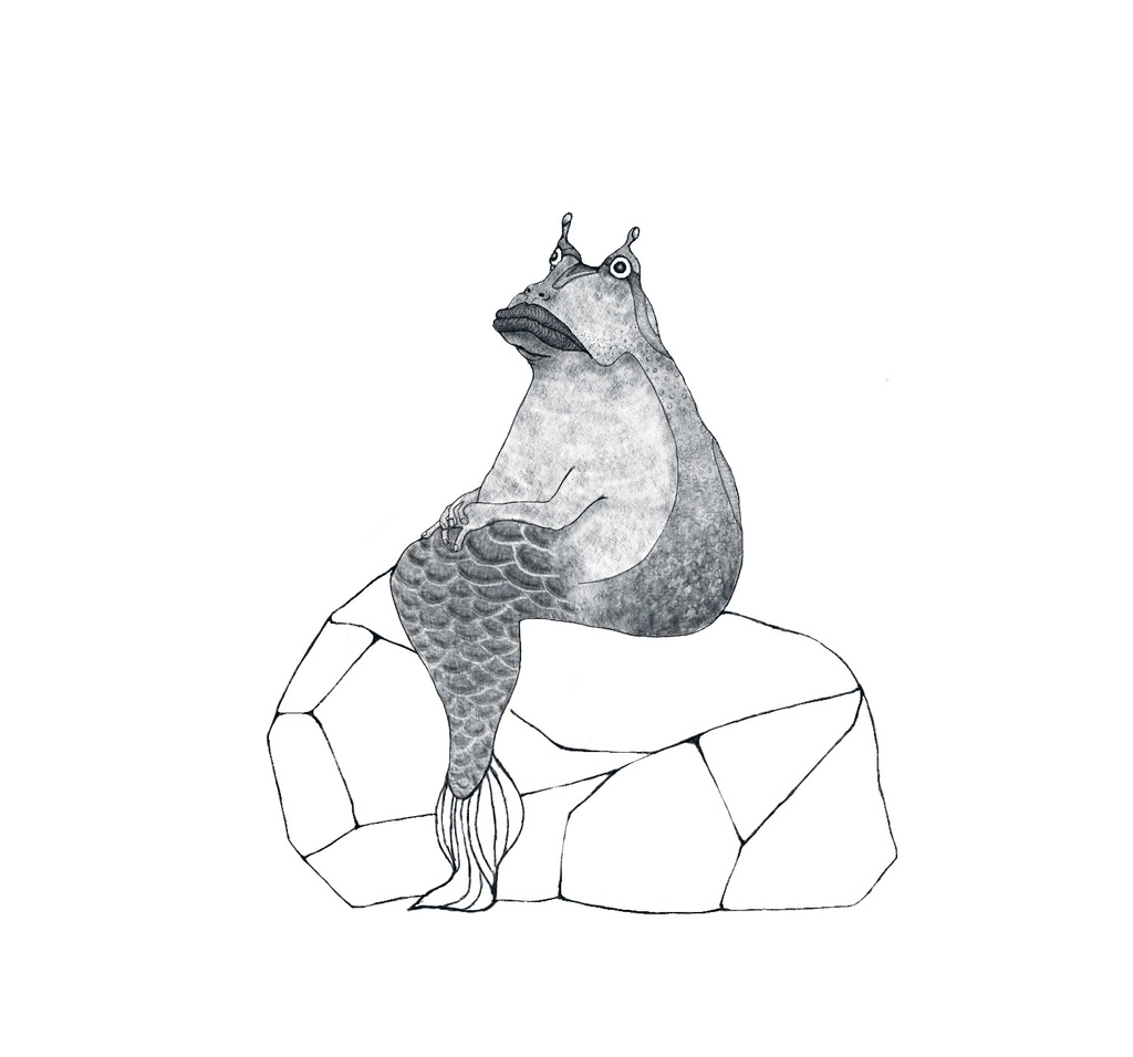 グレー Do you want to be a frog or a mermaid?