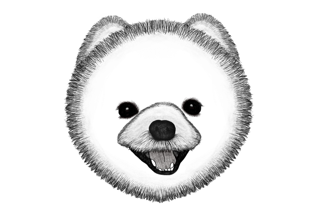 ぽめらぁあにあん