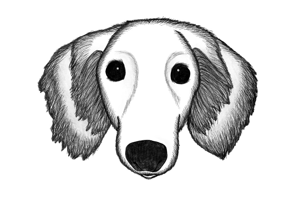 ダックスふんとぅ